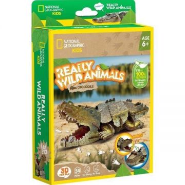 Puzzle 3D. Crocodil