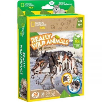 Puzzle 3D. Lup Cenusiu