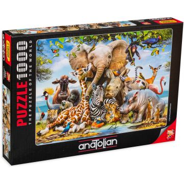 Puzzle Anatolian din 1000 de piese - Zambete din Africa, Howard Robinson