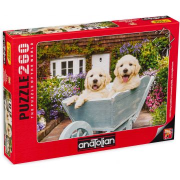 Puzzle Anatolian din 260 de piese - Catelus in carucior, Greg Cuddiford