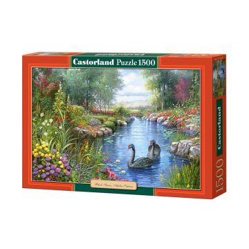 Puzzle Castorland din 1500 de piese - Lebede negre