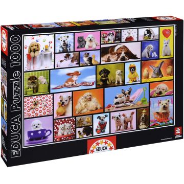 Puzzle Educa din 1000 de piese - Momente impartasite