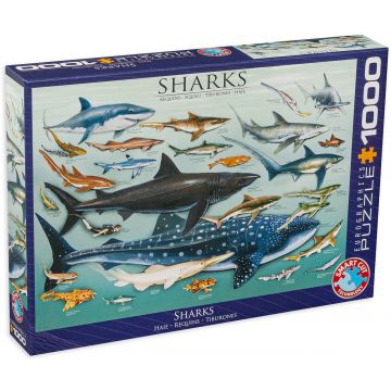 Puzzle Eurographics de 1000 piese – Rechini