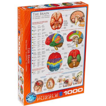 Puzzle Eurographics din 1000 de piese - Corpul uman, Creier