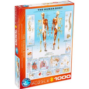 Puzzle Eurographics din 1000 de piese - Corpul uman