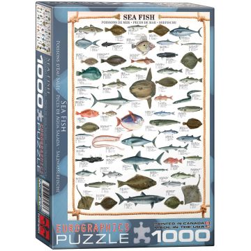 Puzzle Eurographics din 1000 de piese - Peste marin