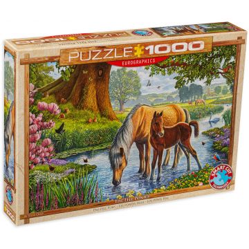 Puzzle Eurographics din 1000 de piese - Ponei, Stive Crisp