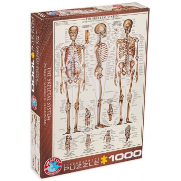 Puzzle Eurographics din 1000 de piese - Sistemul osos