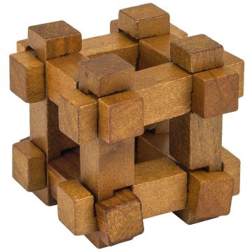 Puzzle logic Professor Puzzle – Cufarul lui Darwin