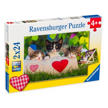 Puzzle Ravensburger din 2 x 24 de piese - Pisoi adormiti