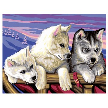 Set creativ de desen KSG Crafts - Husky