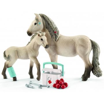 Set figurine Schleich Horse Club - Primul ajutor pentru Hannah