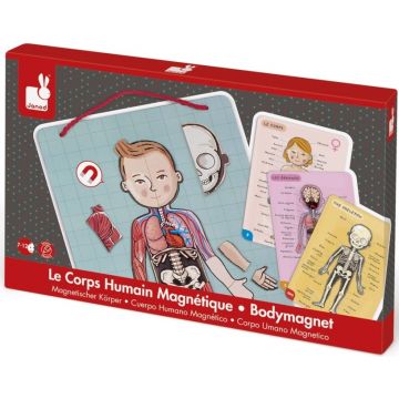 Jucarie magnetica pentru copii - Anatomia corpului uman