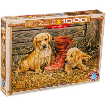 Puzzle Eurographics din 1000 de piese - Ceva vechi, ceva nou, Rozmari Millette