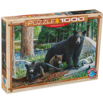 Puzzle Eurographics din 1000 de piese - Noi descoperiri, Kevin Daniel