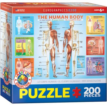 Puzzle Eurographics din 200 de piese - Corp uman