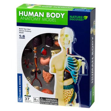 Set pentru copii Kosmos - Anatomia corpului uman
