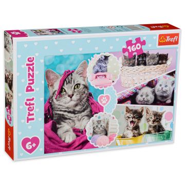 Puzzle Trefl din 160 de piese - Pisicute