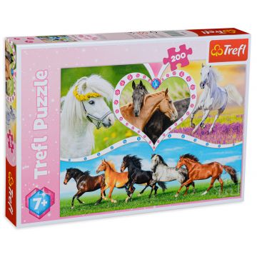 Puzzle Trefl din 200 de piese - Cai frumosi