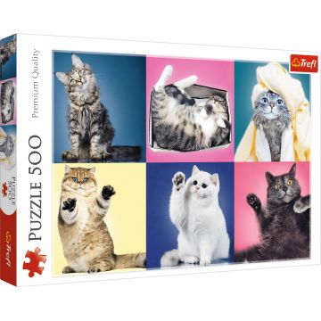 Puzzle Trefl din 500 de piese - Pisoiasi
