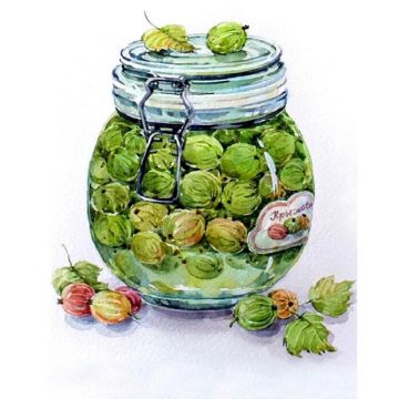 Set de pictură cu diamante TSvetnoy - Gooseberry Jam