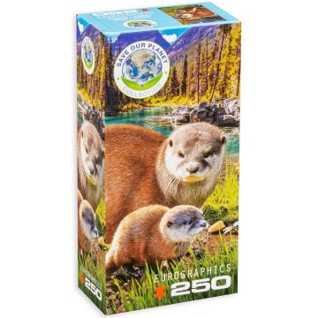 Puzzle Eurographics din 250 de piese - Otters