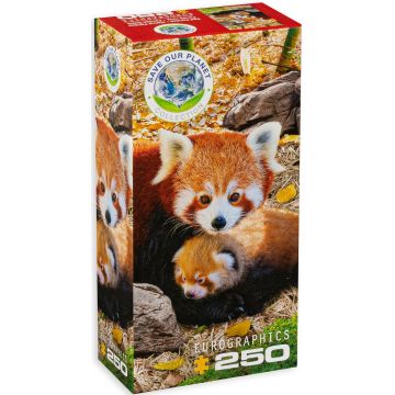 Puzzle Eurographics din 250 de piese - Red Pandas