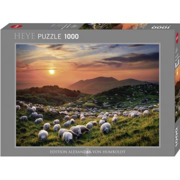 Puzzle Heye din 1000 de piese - Pe camp