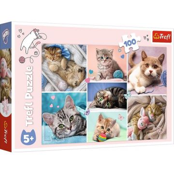 Puzzle Trefl din 100 de piese - In lumea pisicilor