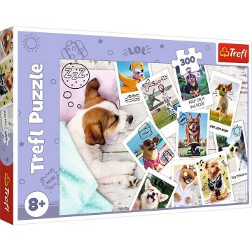Puzzle Trefl din 300 de piese - Tablouri festive