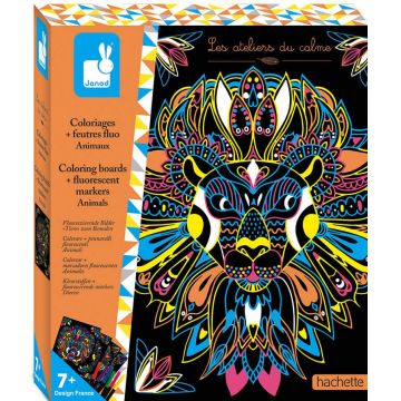 Set de creatie Janod - Coloreaza cu markere fosforescente