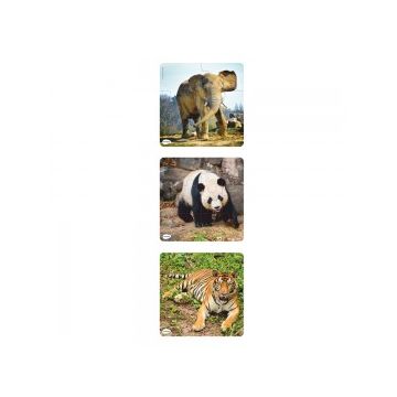 Set 3 puzzle progresive Animale