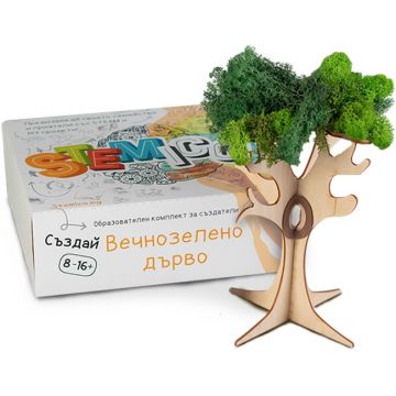 Kit educational Stemico - Copac vesnic verde