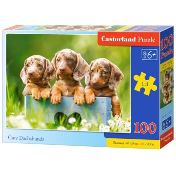 Puzzle Castorland din 100 de piese - Catelusi draguti