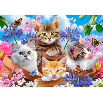 Puzzle Castorland din 500 de piese - Pisicute dragute