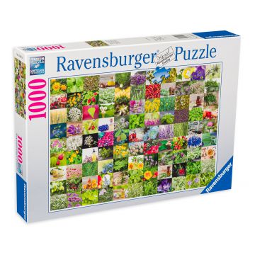 Puzzle Ravensburger din 1000 de piese - Ierburi si condimente 2