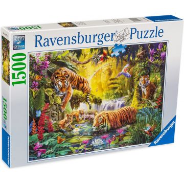 Puzzle Ravensburger din 1500 de piese - Tigri in jungla