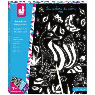 Set creativ Janod - Carti de razuit fosforescente