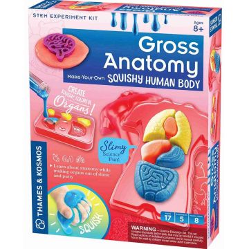 Setul de creație Thames & Kosmos - Creează-ți propriile organe din plastilină