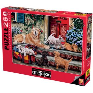 Puzzle Anatolian din 260 de piese - Familie de câini