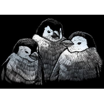 Set de gravură Royal Silver - Pinguini, 13 x 18 cm