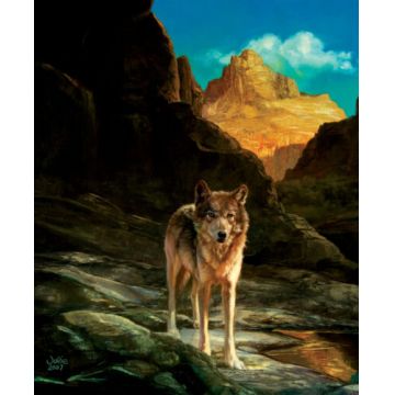 Puzzle SunsOut din 1000 de piese - Lupul singuratic