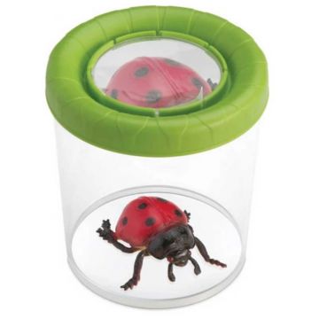 Recipient de observare a insectelor Navir - Cu lupă, asortiment
