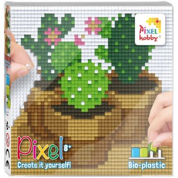 Set de pixeli creativi Pixelhobby Classic - Cactuși
