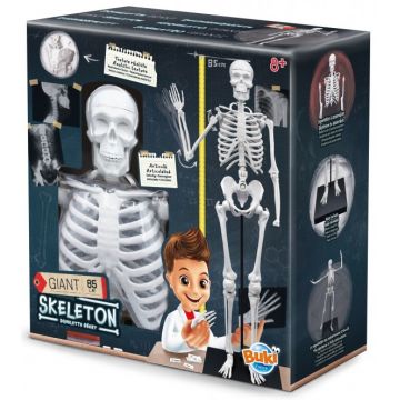 Set educațional Buki France - Schelet uman, 85 cm