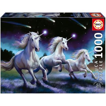 Puzzle Educa din 1000 de piese - Stele căzătoare