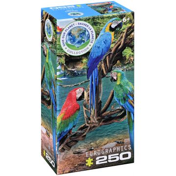 Puzzle Eurographics din 250 de piese - Papagali Ara