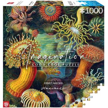 Puzzle Good Loot din 1000 de piese - Ernst Haeckel: Creaturi marine