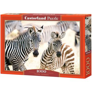 Puzzle Castorland din 1000 de piese - Pui de zebre