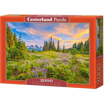 Puzzle Castorland din 2000 de piese - Culorile dimineții
